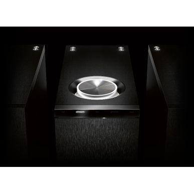 Усилитель мощности Naim Statement NAP S1 L POWERAMP